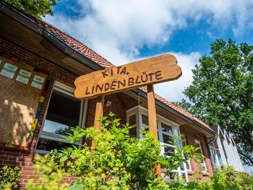 Lindenblüte (Lindern/Sulingen)